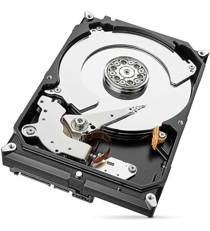 Seagate SkyHawk 4 TB Surveillance